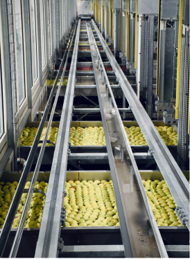 terrain avec des plantations, des montagnes vertes au second plan et un ciel nuageux