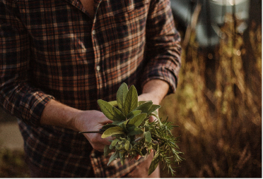 terrain avec des plantations, des montagnes vertes au second plan et un ciel nuageux